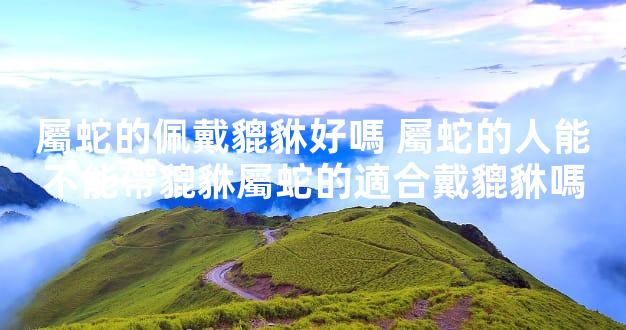 屬蛇的佩戴貔貅好嗎 屬蛇的人能不能帶貔貅屬蛇的適合戴貔貅嗎